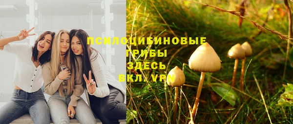 стафф Белокуриха